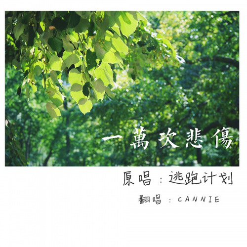 一万次悲伤封面