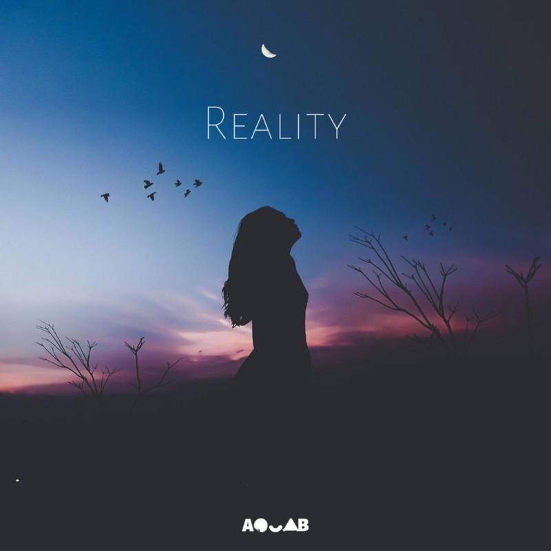 Reality封面
