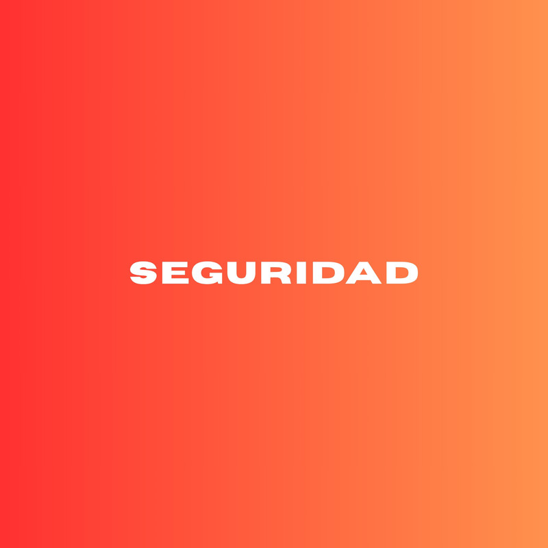 Seguridad封面