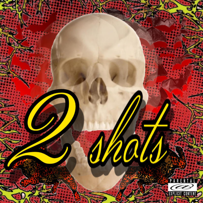 2Shots封面