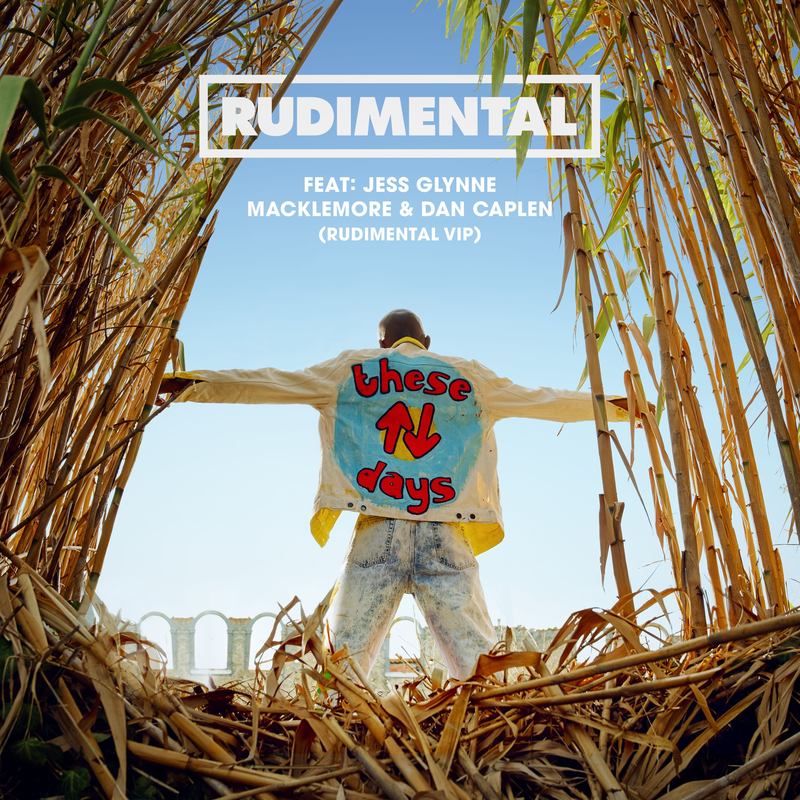 TheseDays(RudimentalVIP)封面
