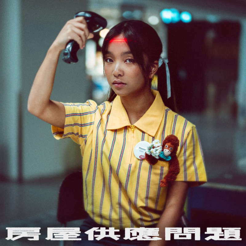 房屋供应问题封面