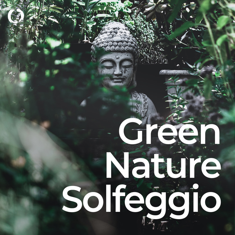 SolfeggioFrequenciesinGreenNature封面