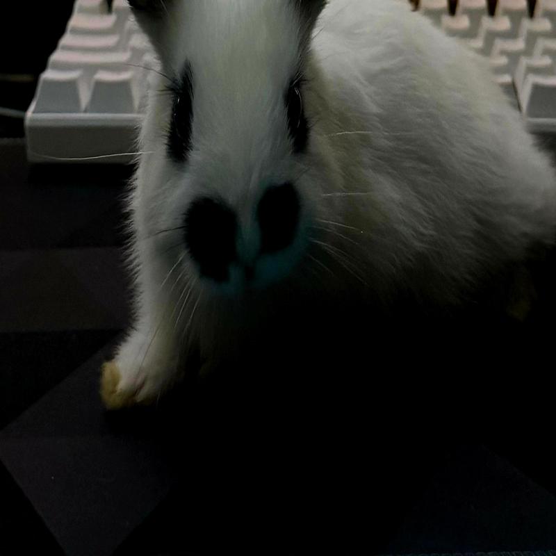 Goingforward封面