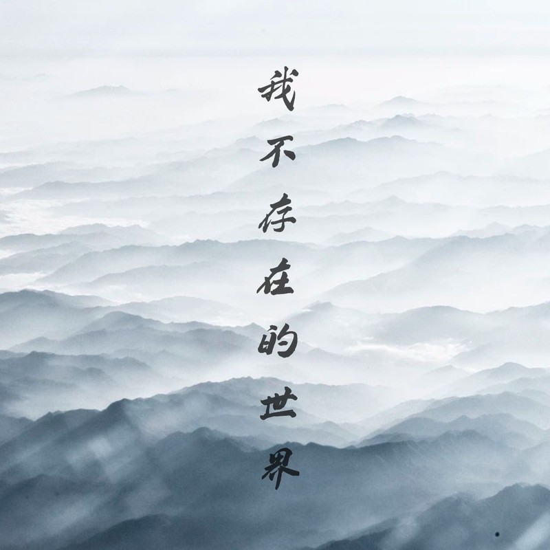 我不存在的世界封面