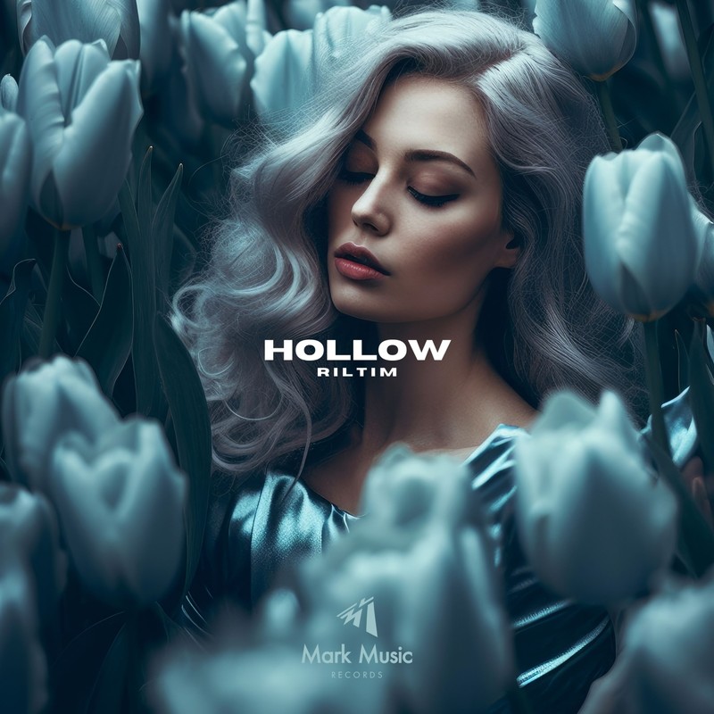 Hollow封面