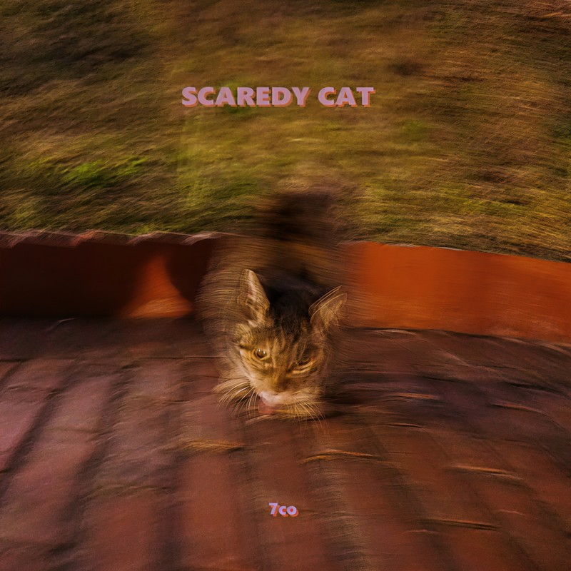 SCAREDYCAT封面
