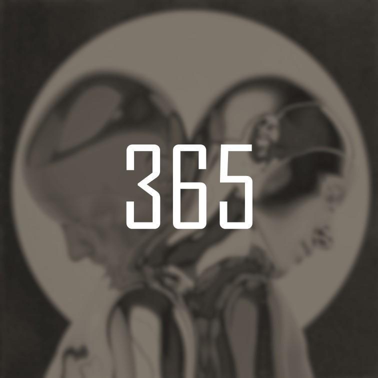 365封面