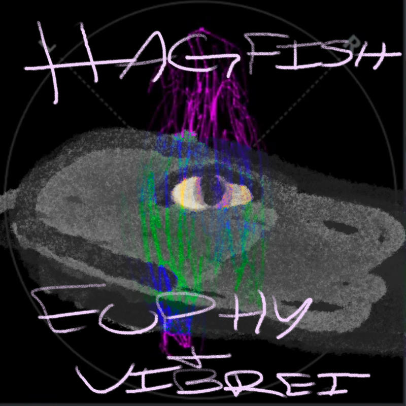 hagfishremaster封面