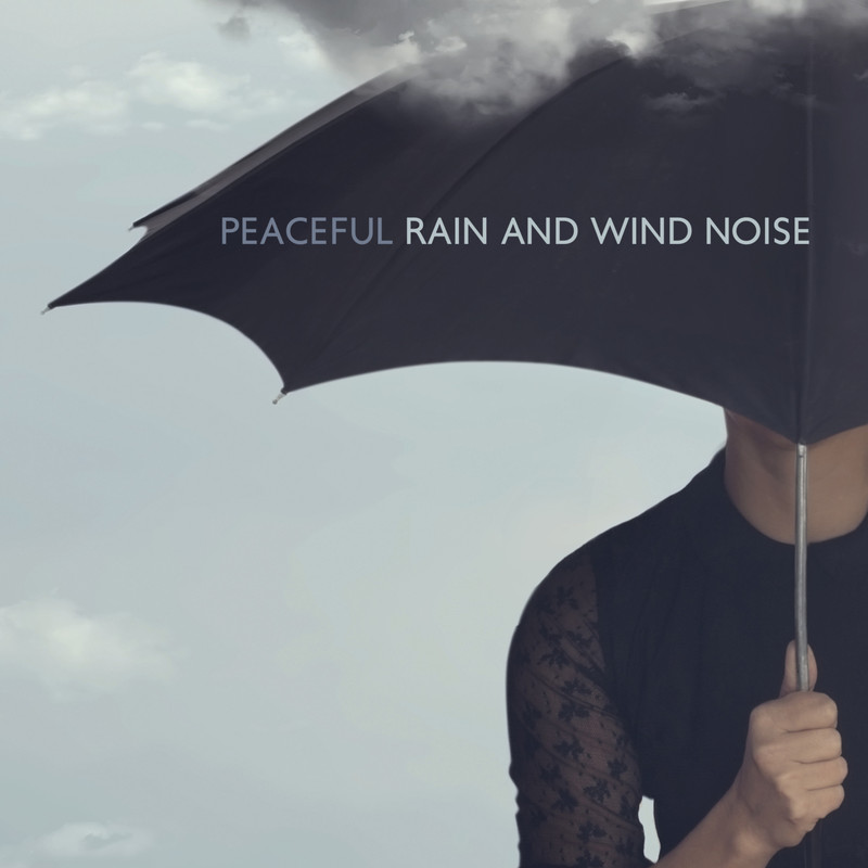 RainandWindDance封面