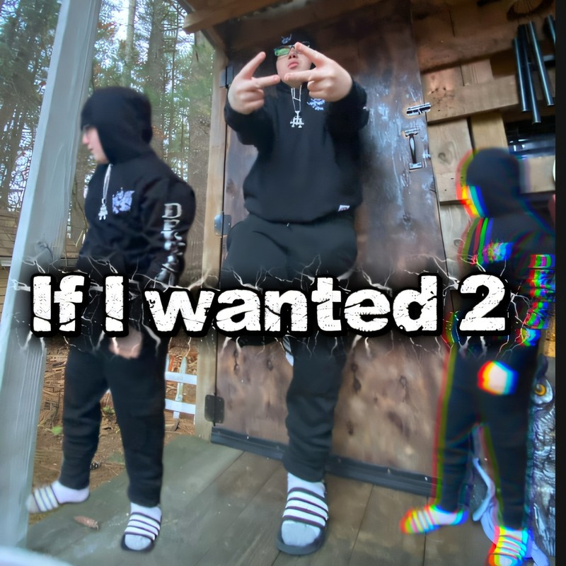 Ifiwanted2封面