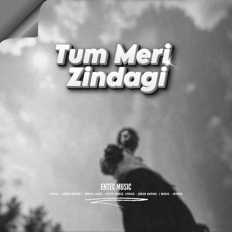 TumMeriZindagi封面