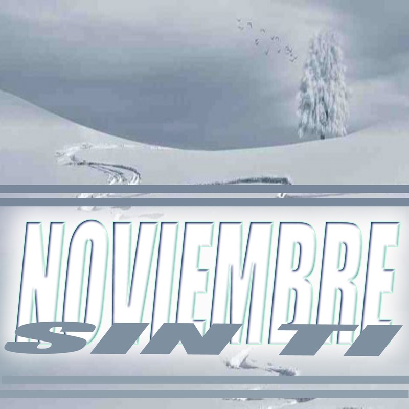 NoviembreSinTi封面
