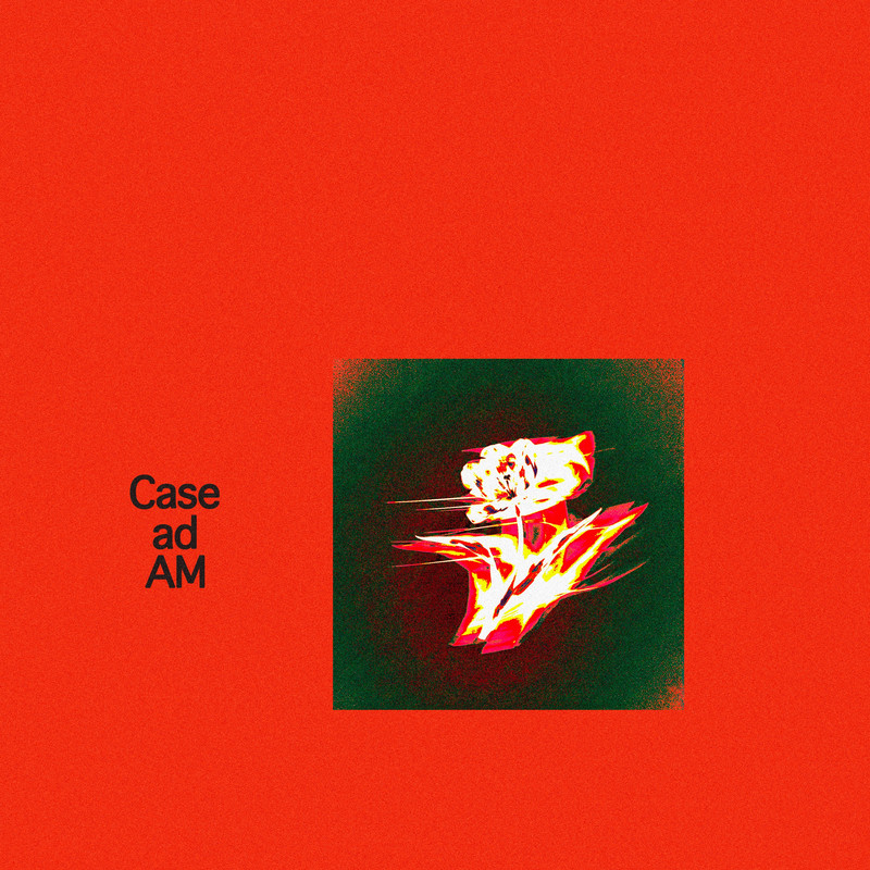 CaseadAM封面