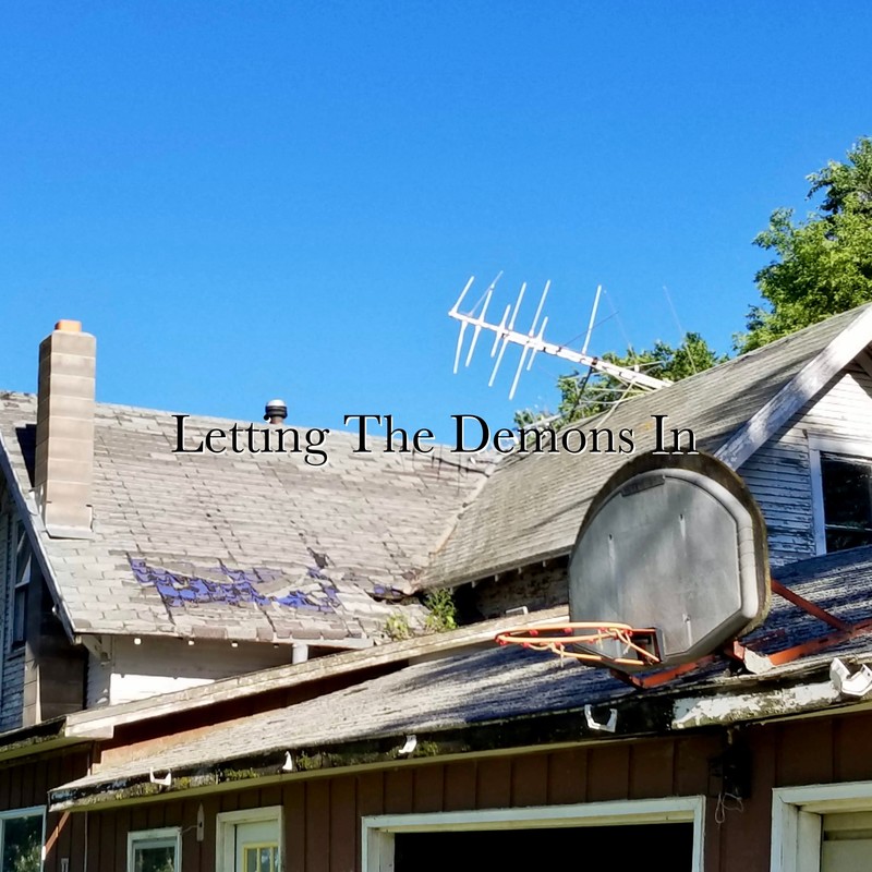LettingTheDemonsIn封面