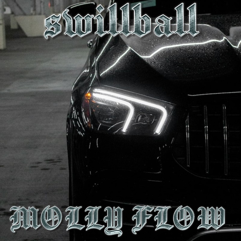 MollyFlow封面