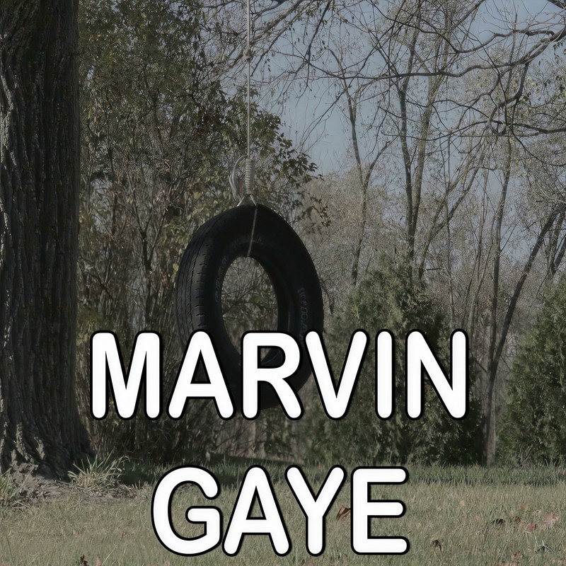 MarvinGaye封面