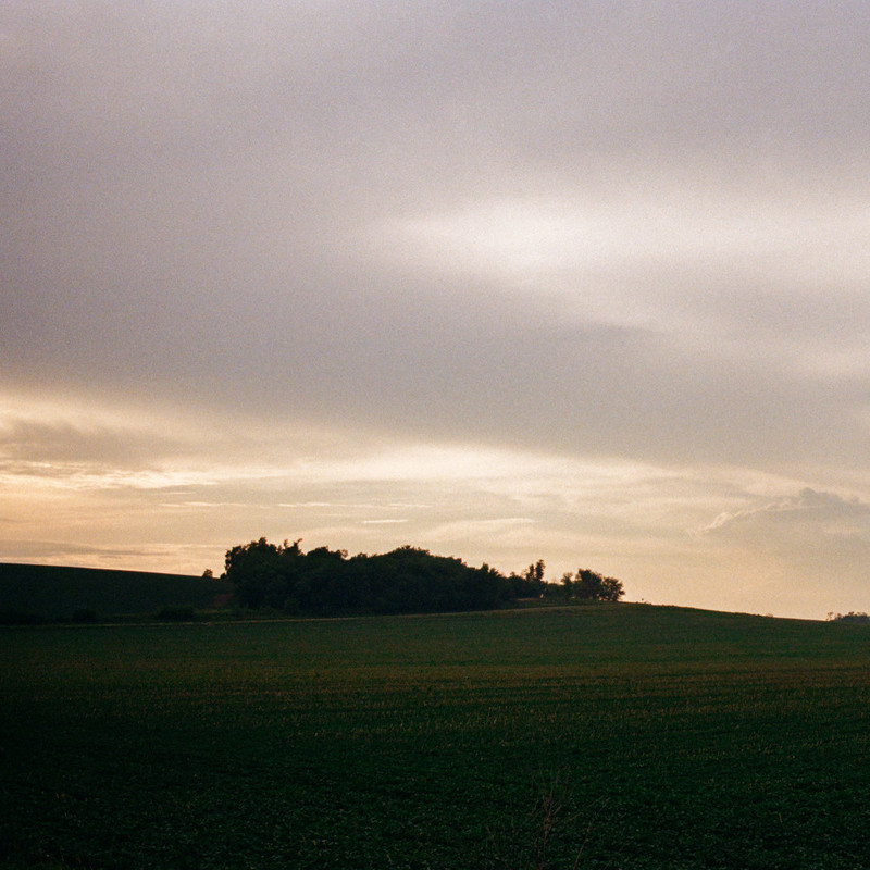 FieldsofGreen封面