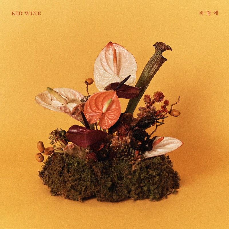 바람에封面