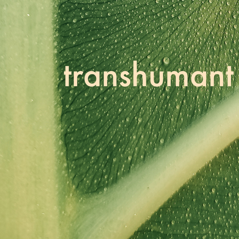 Transhumant封面