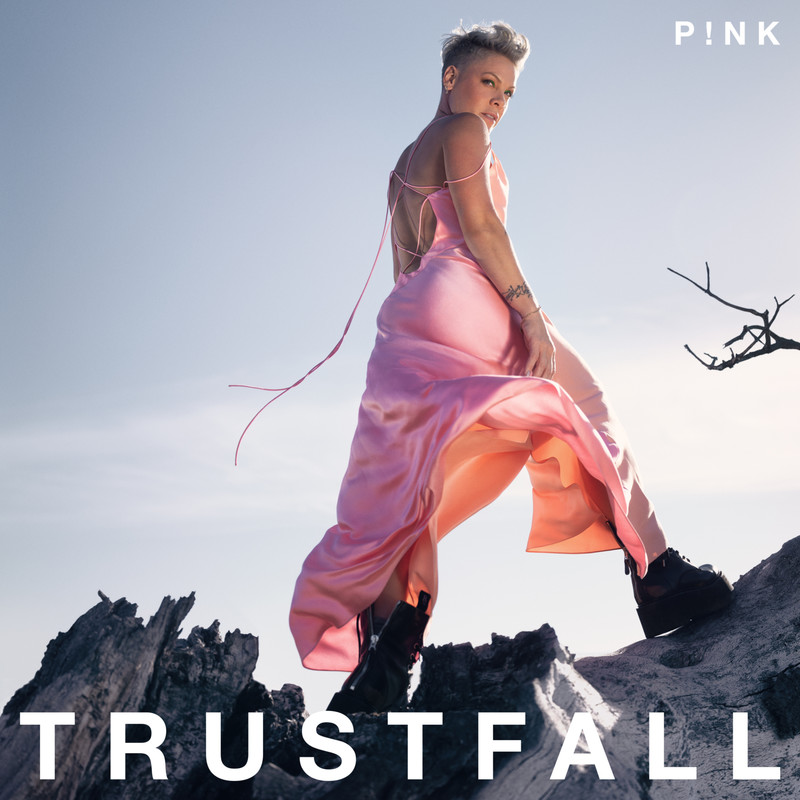 TRUSTFALL封面