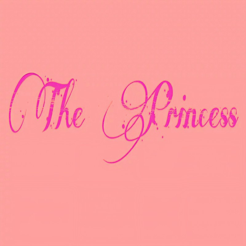 Youcantellshe’saprincess封面