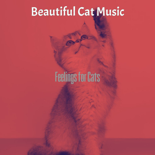 MellowCats封面