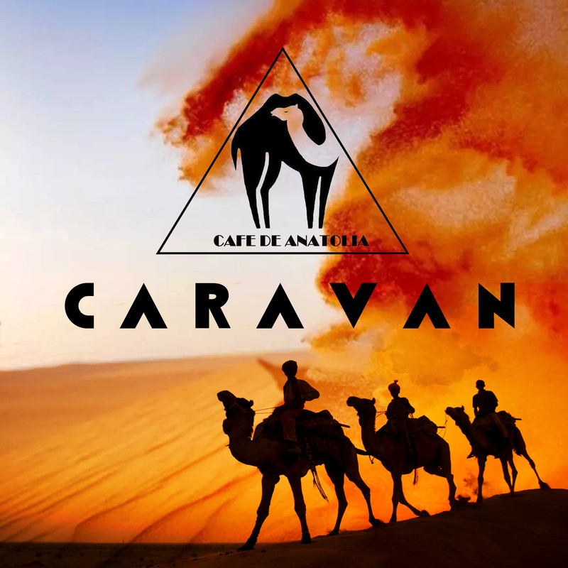 MoroccoNight封面
