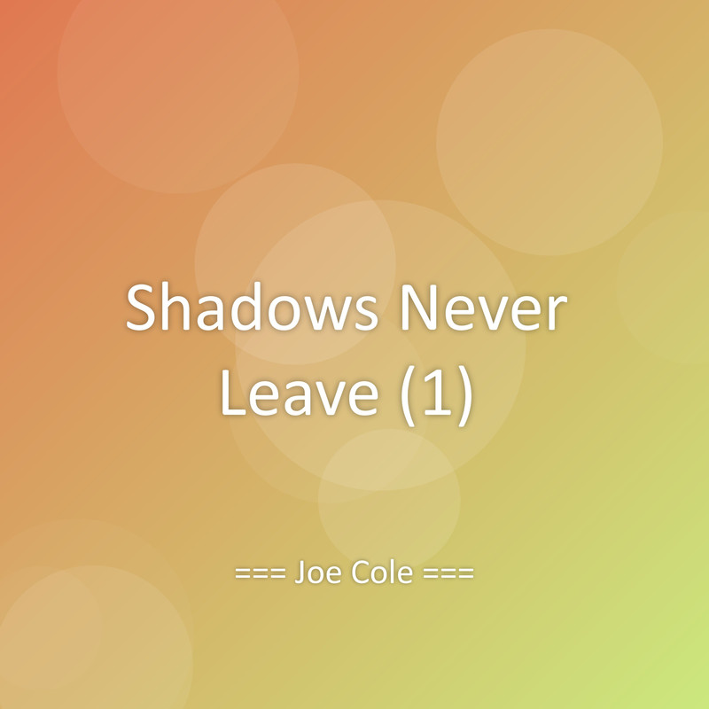 ShadowsNeverLeave(1)封面