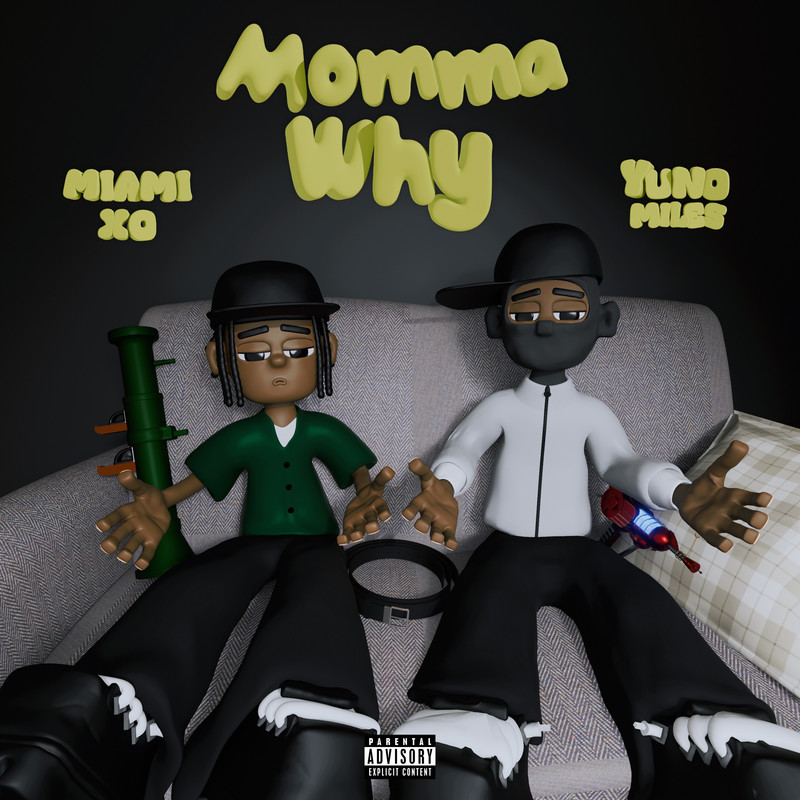 MommaWhy封面