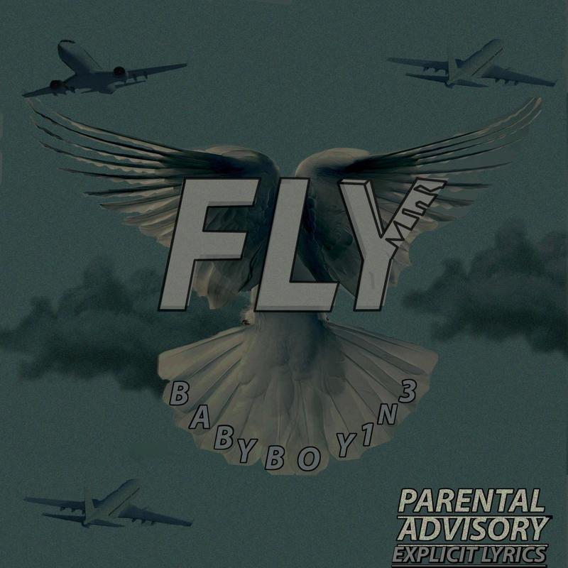 Fly封面