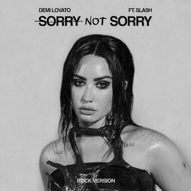 SorryNotSorry封面