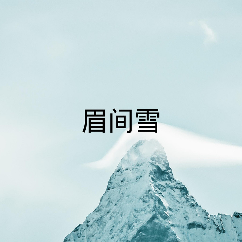 佛世之剑封面