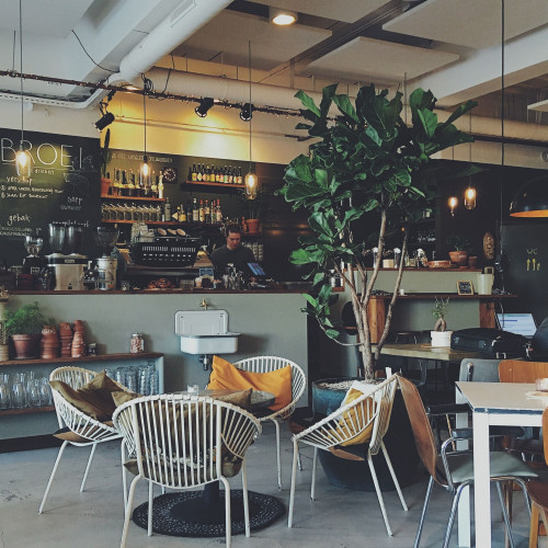 MorningCoffee封面