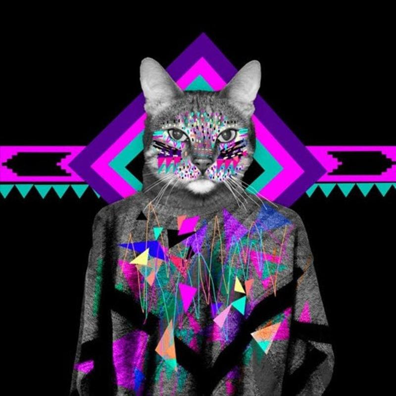 HouseCat封面