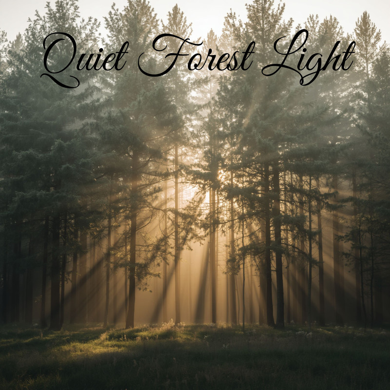 QuietForestLight封面