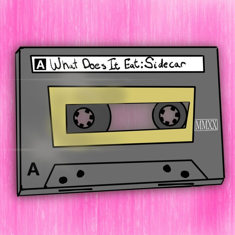 VI.Vinnie(DoogieHowser,M.D.1989封面