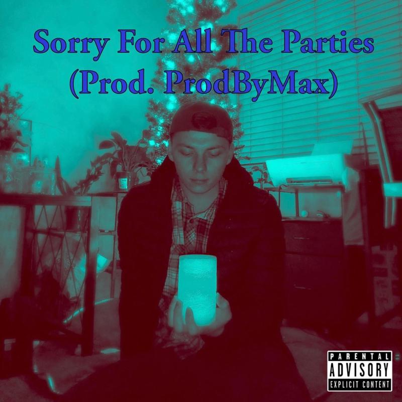 SorryForAllTheParties封面