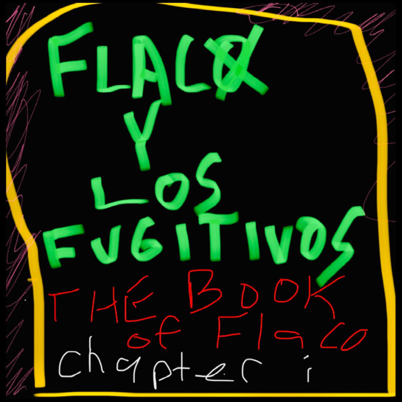 RagDollFlock封面