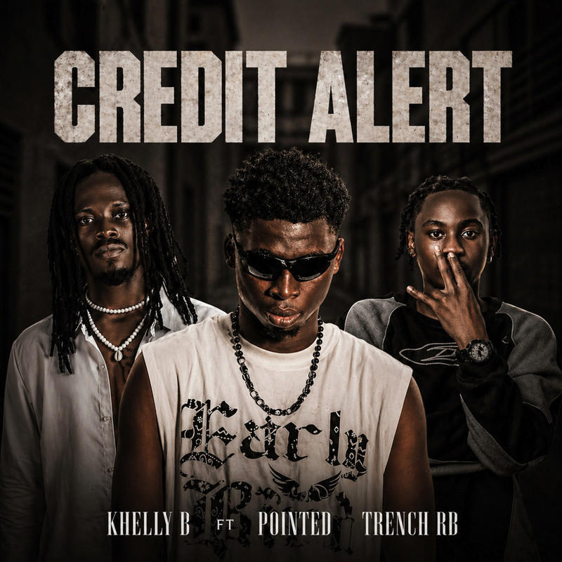 CreditAlert封面