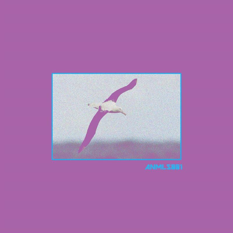 FlightoftheAlbatross封面