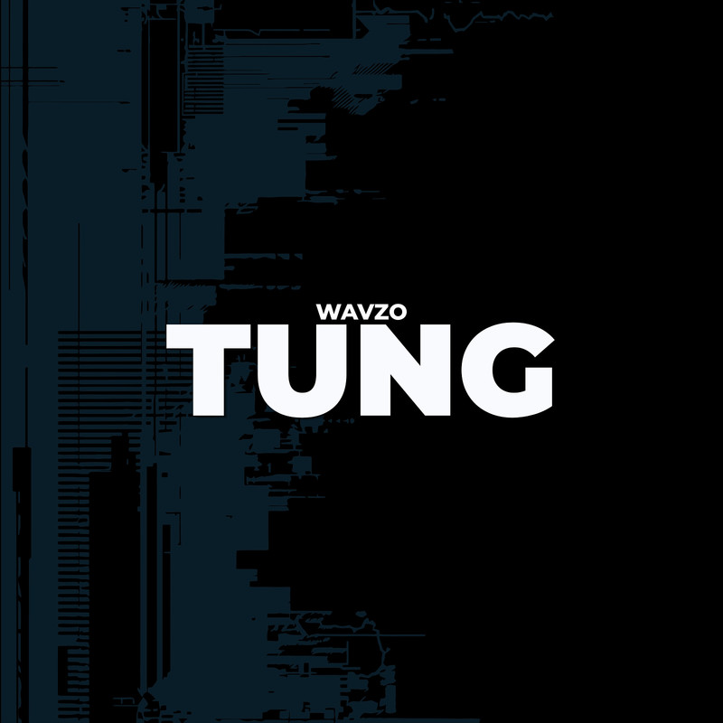 Tung封面