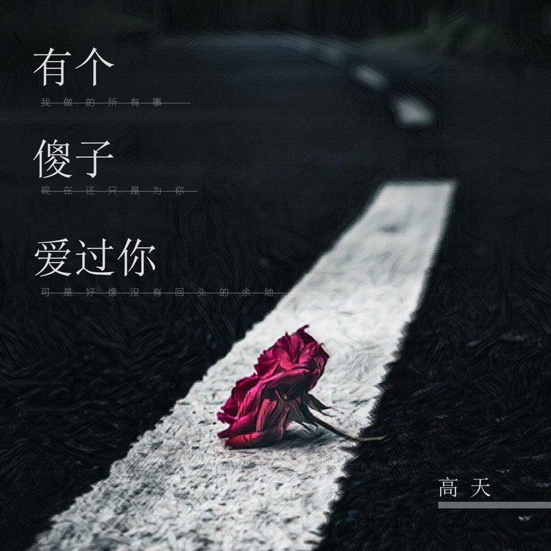 有个傻子爱过你封面