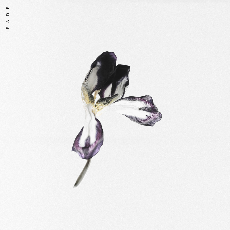 Fade(Explicit)封面