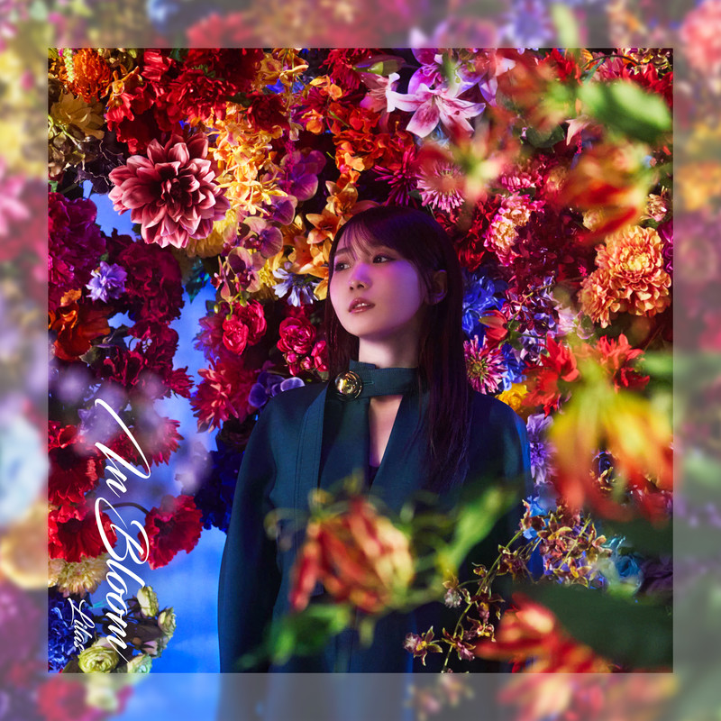 InBloom封面