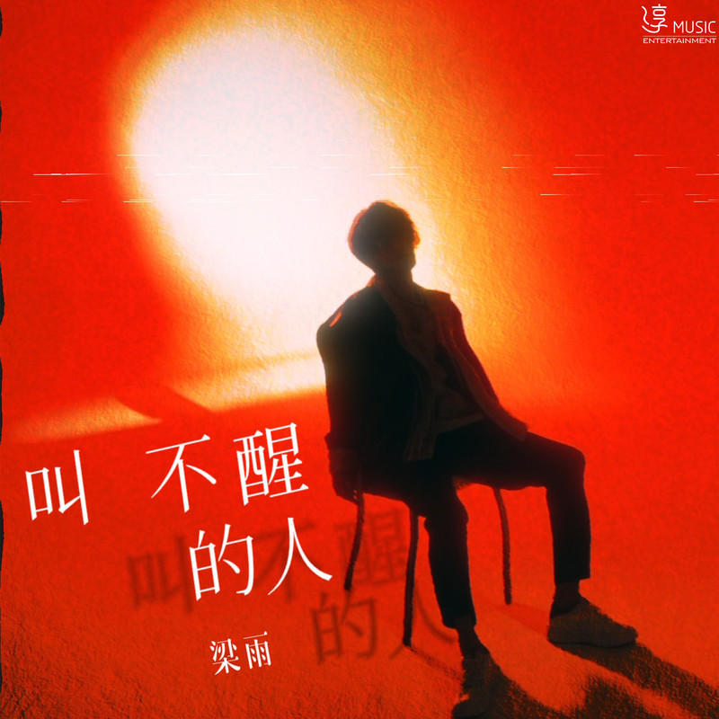 叫不醒的人封面