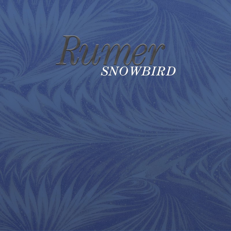 Snowbird封面