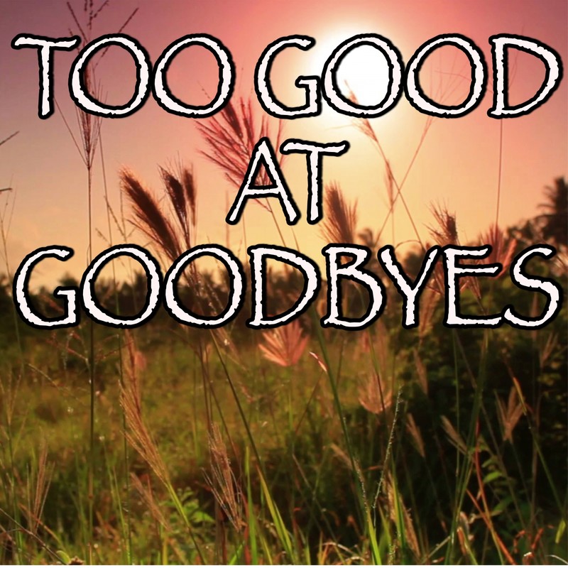 TooGoodAtGoodbyes封面