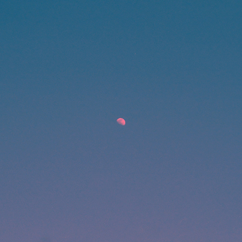 ButThere'sStillTheMoon封面