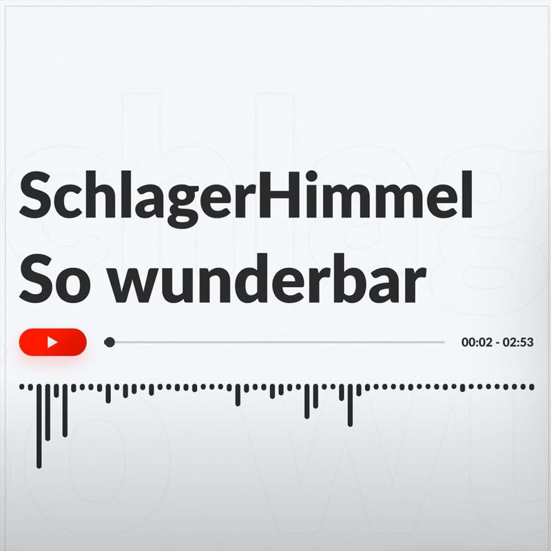 sowunderbar封面